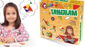 Tangram pedagógico em madeira